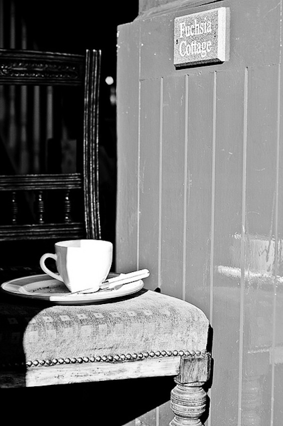 Coffee Cup Journey into Poetry tweetspeakpoetry.com
