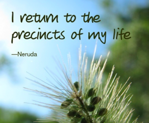 Neruda poetry quote