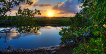 Indian-River-Lagoon Florida-by-Gunner-VV
