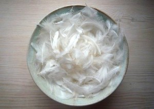 Poetry Feather bowl