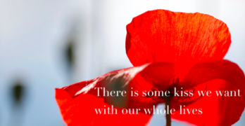 Some Kiss We Want Poem Shareable Graphic