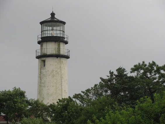Edward Gorey Cats Visit Cape Cod Henry Thoreau Lighthouse and Hide
