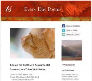 every day poems cat poems