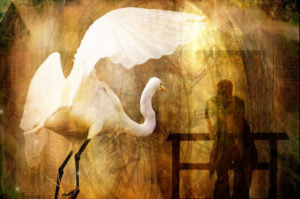 Giant Swan Icarus Poem