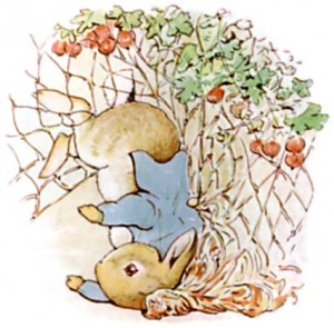 children's books peter rabbit 2