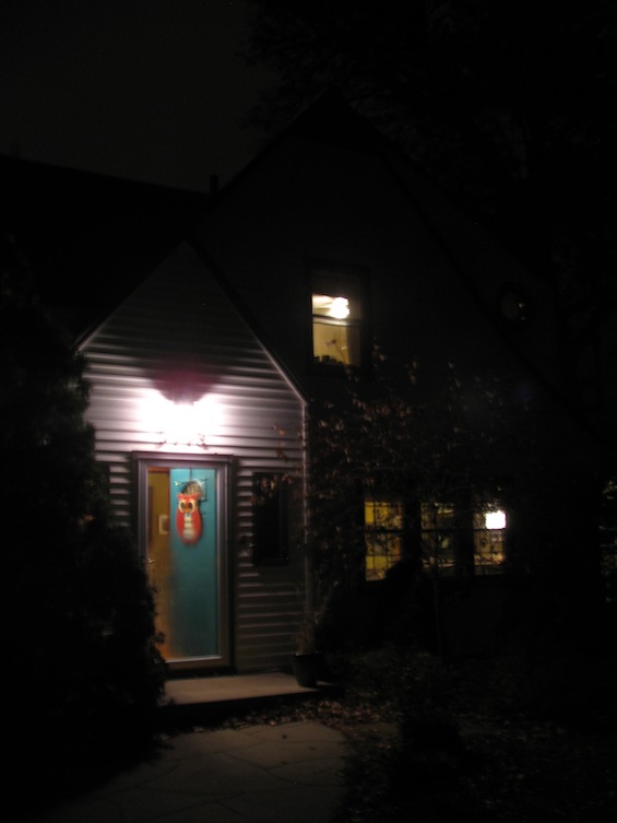 Michelle's House Owl Door