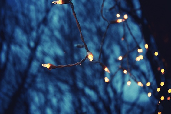 Christmas Lights Blue Trees