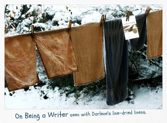 On Being a Writer in the Wild Darlene S Laundry Line