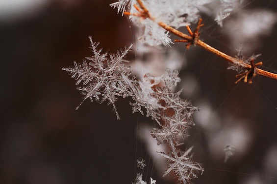 Snowflake Magnifed Winter Poetry