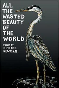 Wasted Beauty of the World