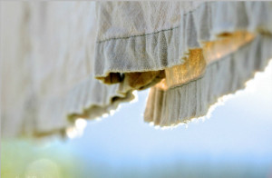 clothes on clothesline