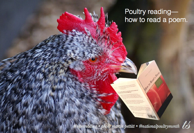 poultry reading Martin pettitt
