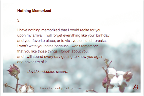 Nothing Memorized by David K. Wheeler