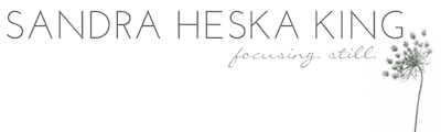 Sandra Heska King blog