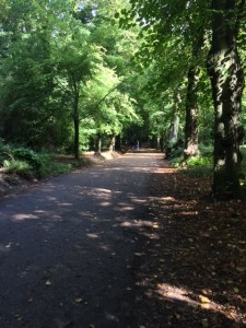 Part of Hampstead Heath, where Keats walked with Fanny Brawne