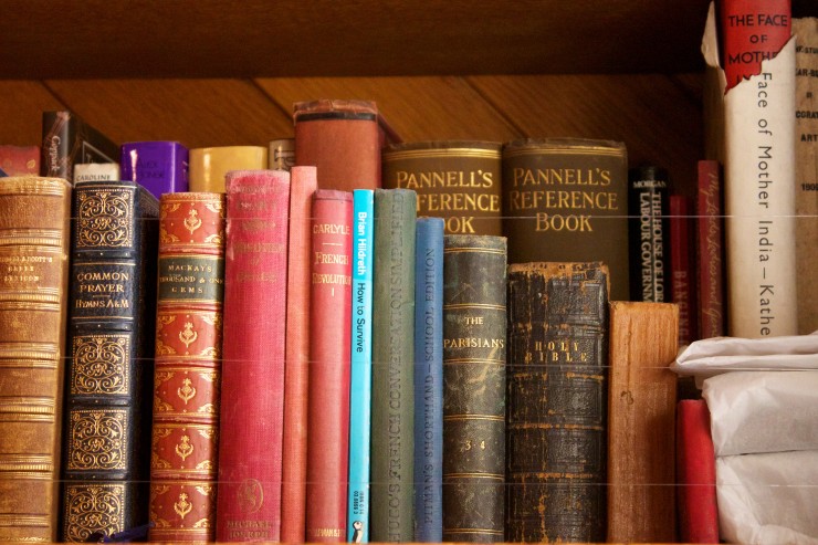 Old Books on Shelf - Eureka Springs Carnegie Library