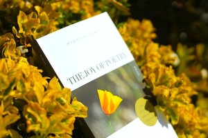The Joy of Poetry New Release Megan Willome