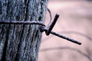 Top 10 Poems About Wood rough fence post with wire
