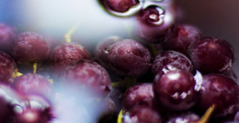 Ultimate website you can make lush purple grapes