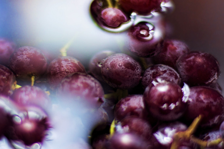 Ultimate website you can make lush purple grapes