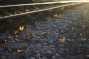 Regional Tour Holocaust Memorial Center Farmington Hills Michigan autumn leaves by railroad tracks