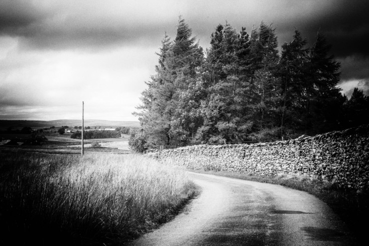 Road on a stormy day - The Power of Poetry