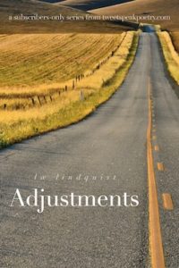 Adjustments A Serial Novel cover