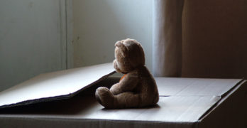 Random Acts of Poetry teddy bear on cardboard box