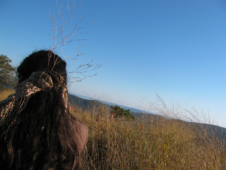 bear-mountain-new-york-top-of-mountain-girl-with-grasses-1