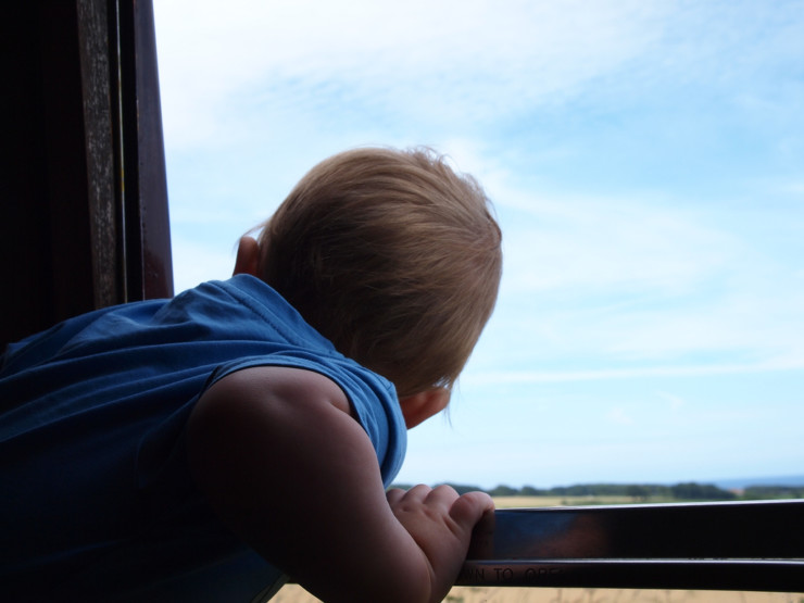 boy looks out window - A Window into Poetry and Change with Jane Hirshfield