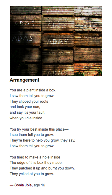 arrangement-poem-on-education-by-sonia-joie