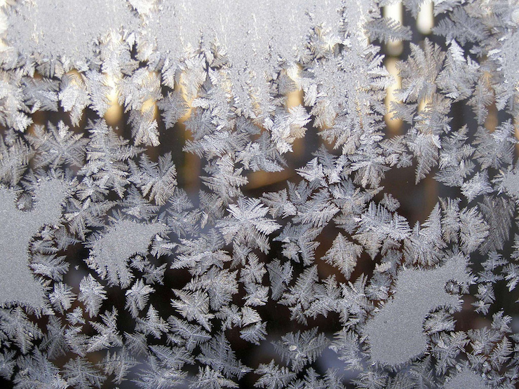 ice crystals on window poetry