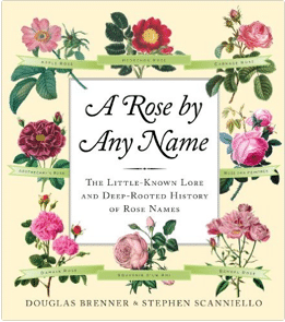 A Rose by Any Other Name by Douglas Brenner