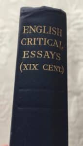 Ninetheenth Century Essays on poetry