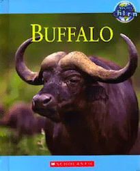 Buffalo 250