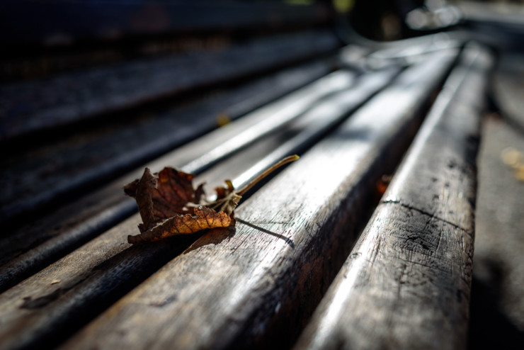 What to Read park bench with leaf