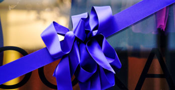 form prompt satin bow
