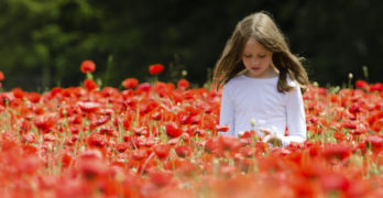 girl in the poppies