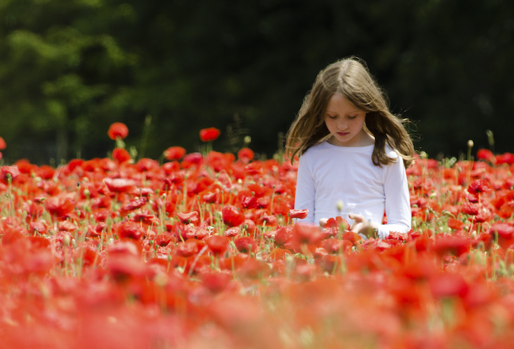girl in the poppies