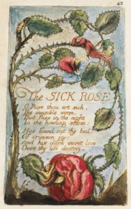 The Sick Rose by William Blake Illustration