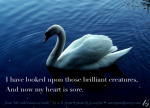 I have looked upon those brillian creatures wb yeats quote on photo