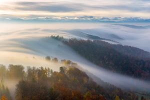 Braiding Sweetgrass fog on mountains