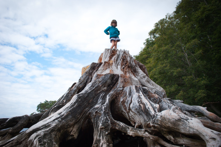 Friendship Project girl on giant tree roots