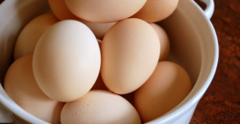 Farmacology free range eggs