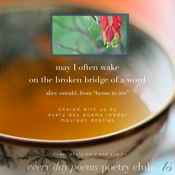 broken bridge poetry club