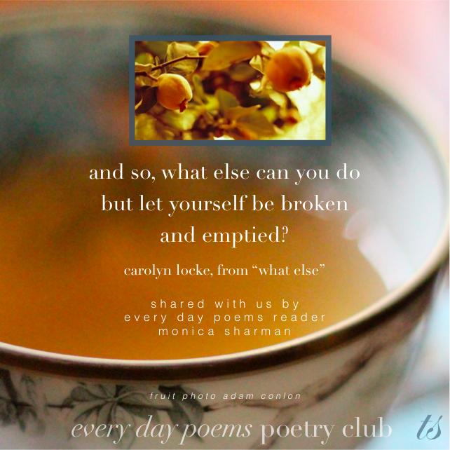 let yourself be broken quote from carolyn locke's "what else"