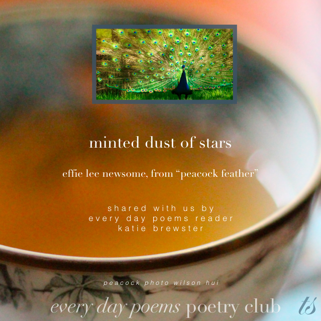 minted dust of stars poem