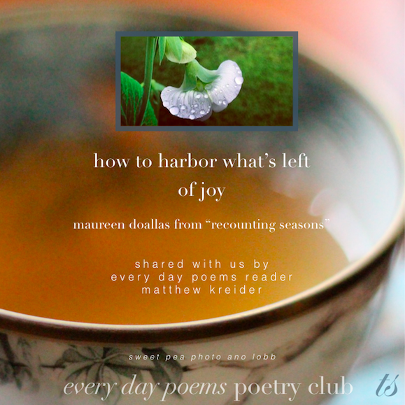 how to harbor what's left of joy maureen doallas poem