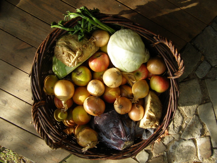 vegetables in a basket feel like home