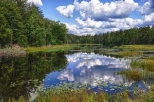 Adirondacks Lake and Pine Trees Poetry Prompt